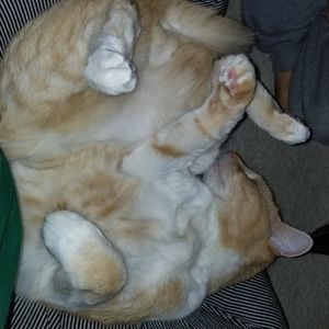 Meet your Posher, Katrina